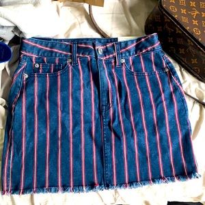 American Eagle Skirt